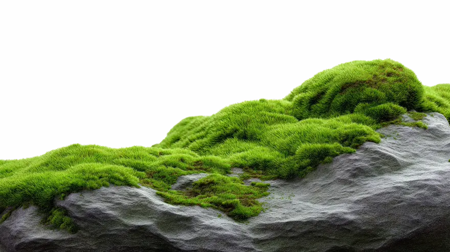 Fogão ecológico de metal sobre fundo claro